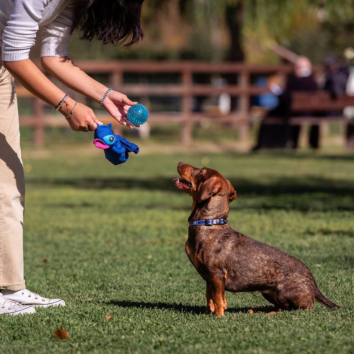 Stitch Pelota Dog Toy