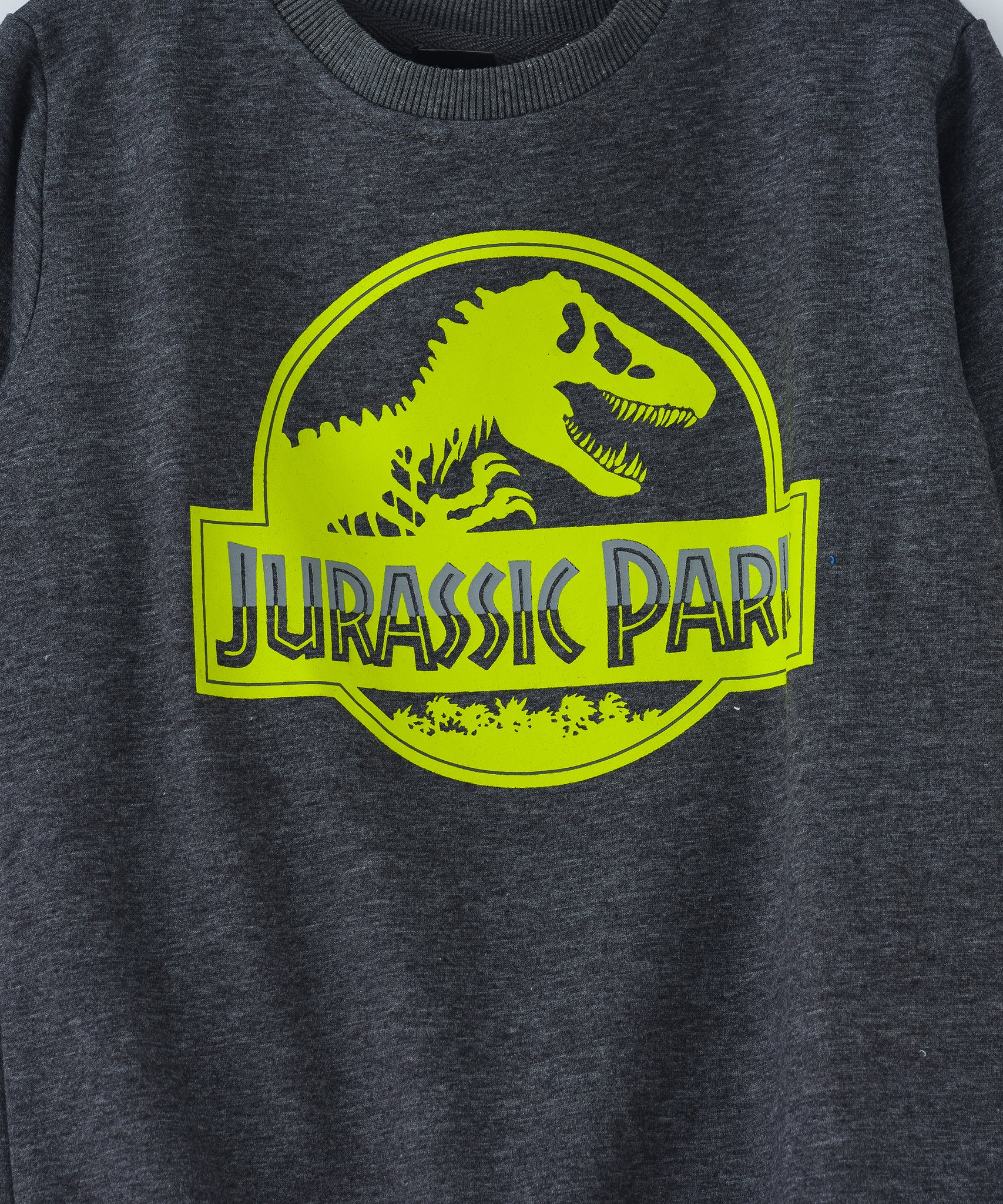 Jurassic Park Junior Boys Sweatshirt